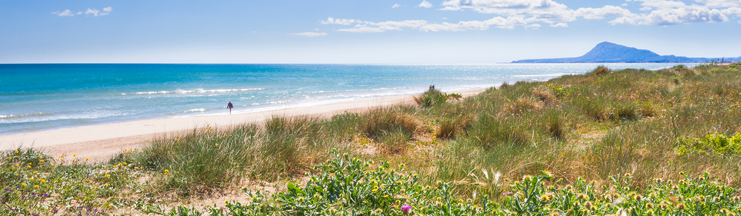 Banner platja