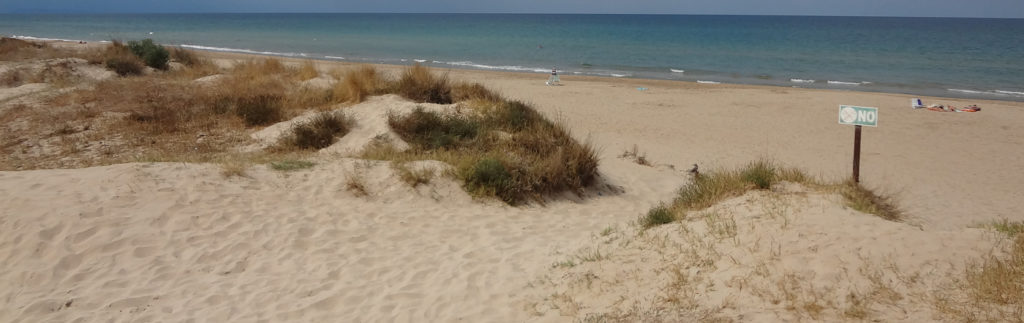 Dunes platja