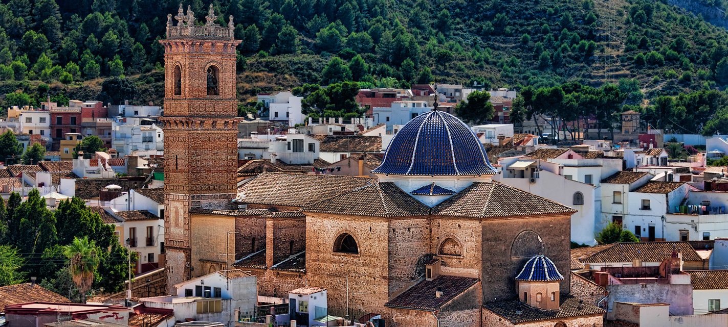 Panorámica Oliva