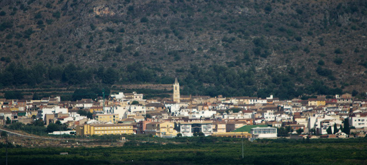 Palma de Gandia